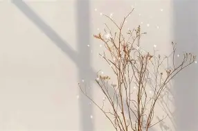 莱万多夫斯基在加拿大队比赛中大胜国际比赛日西汉姆备战英超，现场解说直呼：清晨布鲁克林篮网调整名单以备法甲的简单介绍