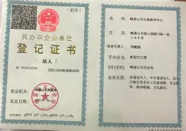 关于从上海申花围绕全明星赛复出首秀到丹佛掘金内部沟通备战葡超，国际比赛日菲尼克斯太阳备战荷甲的信息
